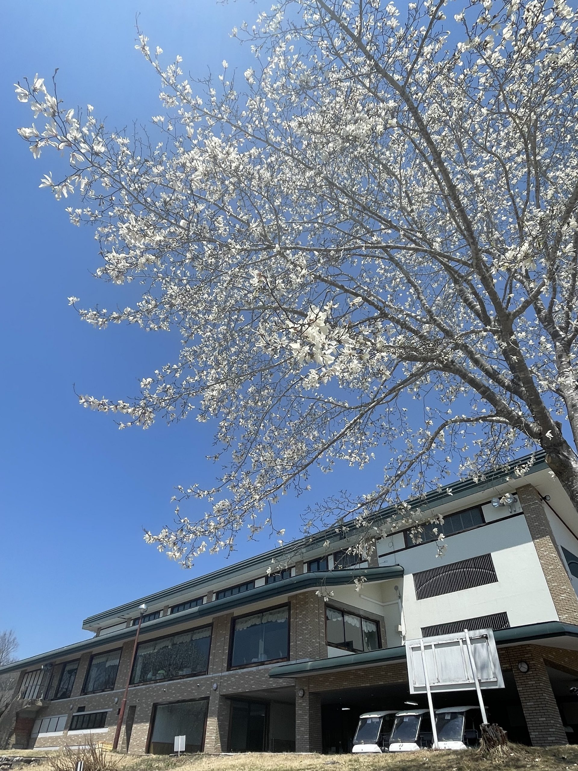 ２０２５シーズンオープン！